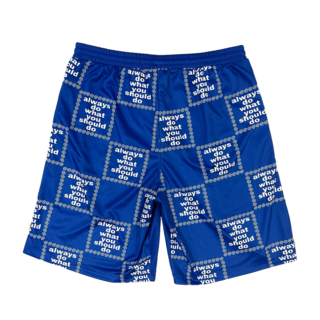 adwysd grid short - blue - Image 2